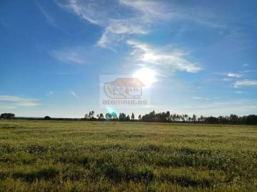Granja 7 quarto, Grândola Grândola DS90373390