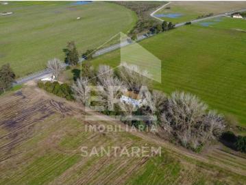 Granja 5 quarto, Almeirim Almeirim DS101075242