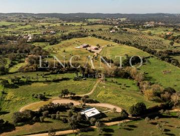 Granja 6 quarto, Montemor Montemor DS101568969