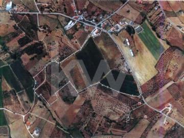 Granja 8 quarto, Torres Novas Torres Novas DS101964749