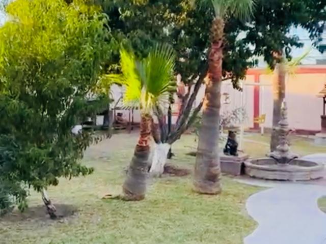GRANJA EN VENTA EN DELICIAS, CHIH