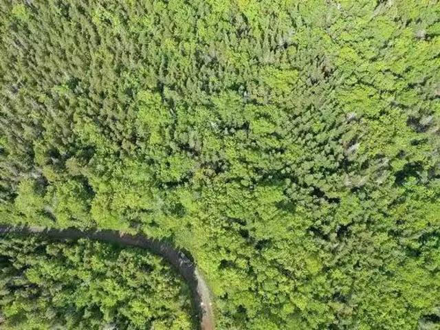 Grant 16738 Moser River North Road, Moser River, NS, B0J 2K0.