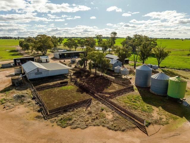 GRASSMERE 1132 ACRES 459 HA.AS AWHOLE OR IN 2 LOTS