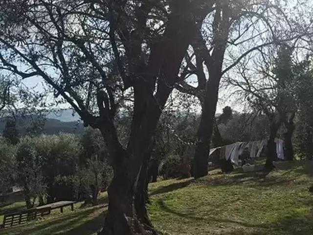 Grasse 06130 Location maison 5 pièces t5