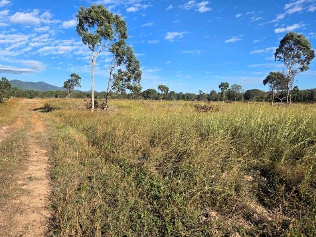 Greta Creek Grazing & Lifestyle
