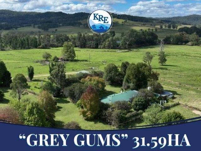 GREY GUMS ON BEAN CREEK