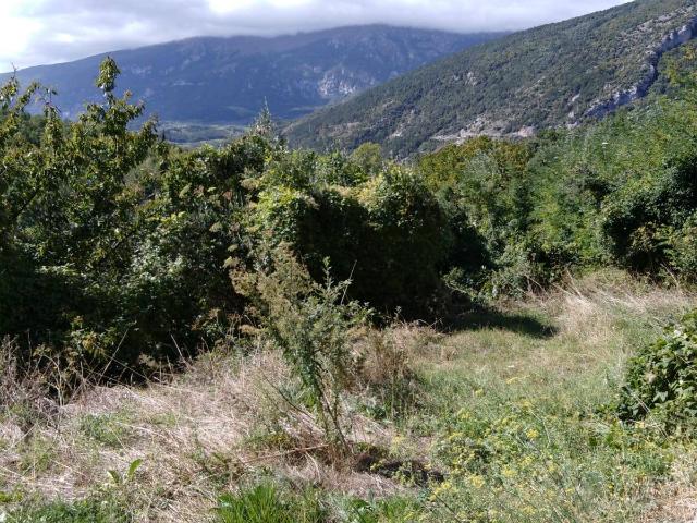 Grezzo in vendita a Lettopalena