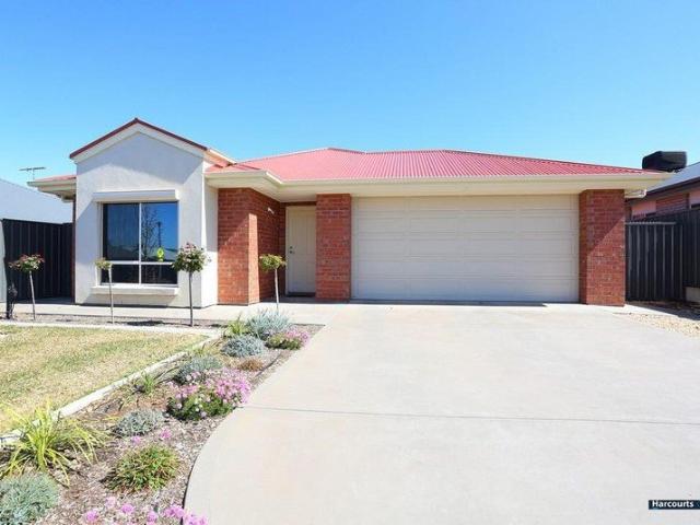 Great 3 Bedroom Home in Prime Location
