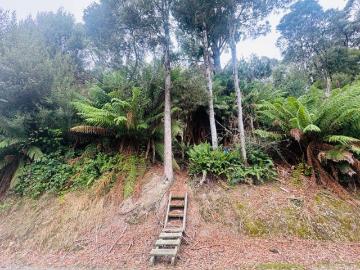 Zeehan, West Coast, Mount McCutcheon