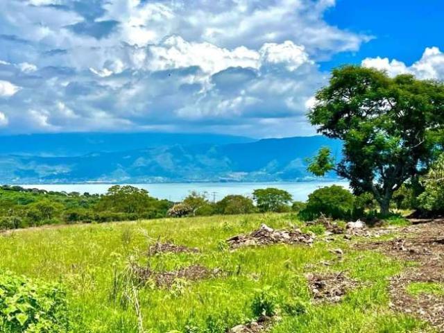 Great affordable lot a