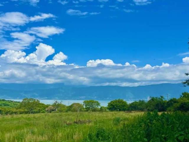 Great affordable lot b