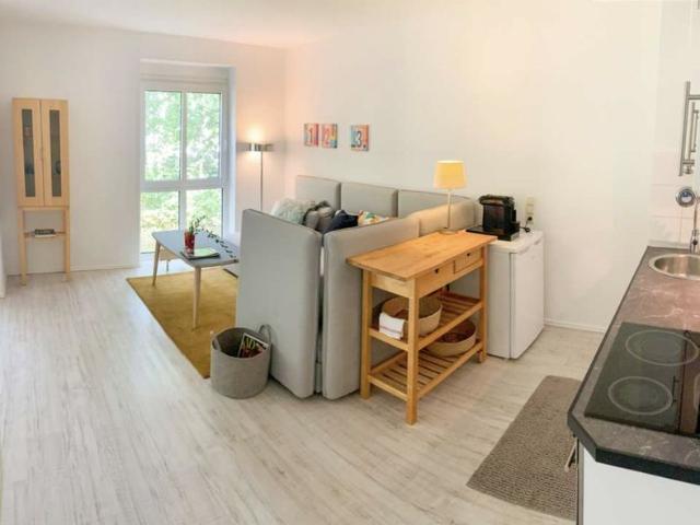 Great and modern loft near school, Wiesbaden Amsterdam Apartments for Rent