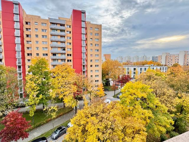 Great & fantastic home, Munchen Amsterdam Apartments for Rent