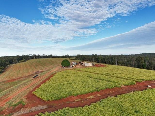 Four Bedroom Home on 80 Hectares Quality Farmland in Eureka Owner Motivated Expressions of Interest Welcome