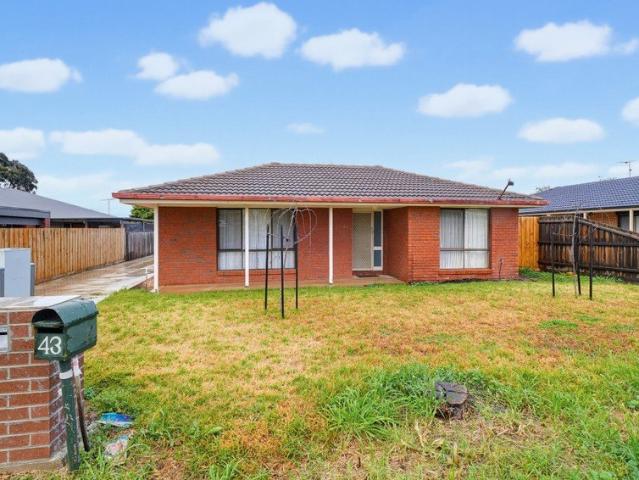 Great First Home or Investment