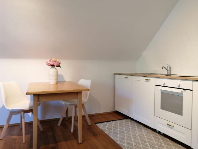 Great furnished and newly renovated apartment with excellent connection to public transportation, Monchengladbach Amsterdam Apartments for Rent