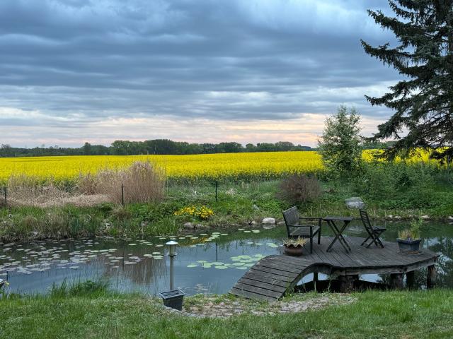 Great home Dummerstorf
