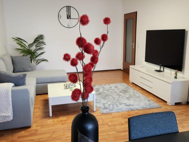 Great home in Düsseldorf