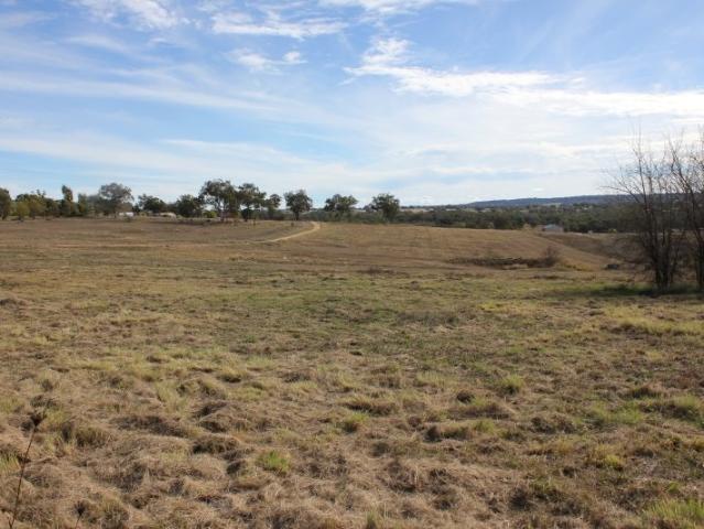 Great Location with Investment Opportunity!