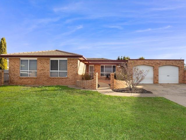Great Location, Great Shed, Great Opportunity