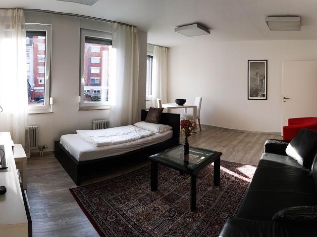 Great, new apartment Heidelberg