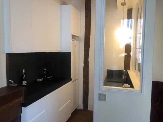 Great, perfect loft, Paris Amsterdam Apartments for Rent