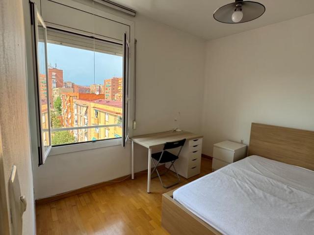 Great private room in a 5 bedroom apartment