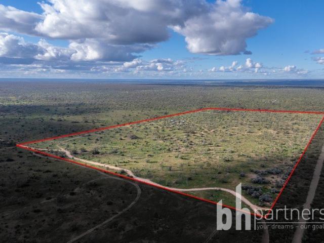 Great Scrub Block, 75 acres, Sheds, Mains water!