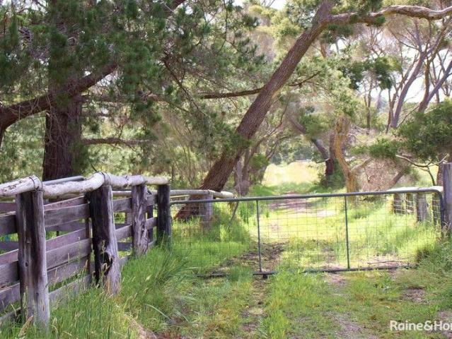 Great Southern Land