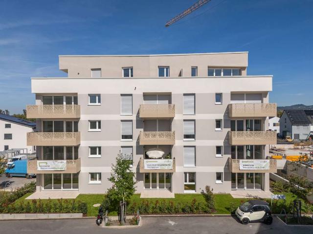 green v Viernheim: Willkommen im neuen Zuhause