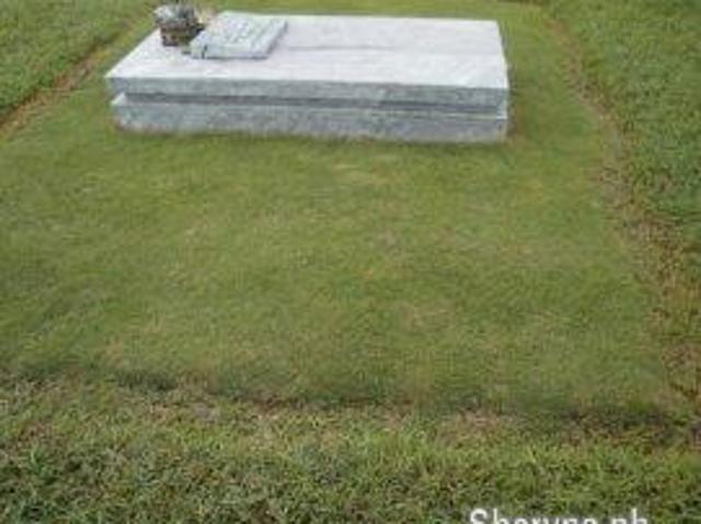Green Garden Memorial Lot, Court & Estate Iloilo City