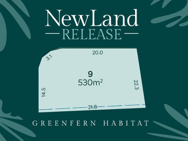 Greenfern Habitat 19 Lots @ Browns Plains