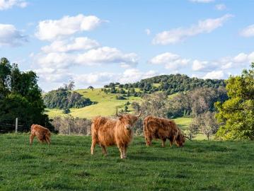 Greenwoods Farm: A Heritage Estate of Beauty, Productivity & Possibility