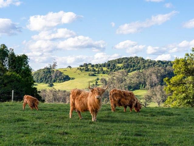 Greenwoods Farm: A Heritage Estate of Beauty, Productivity & Possibility