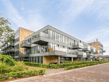 Olland, Meierijstad, Noord-Brabant