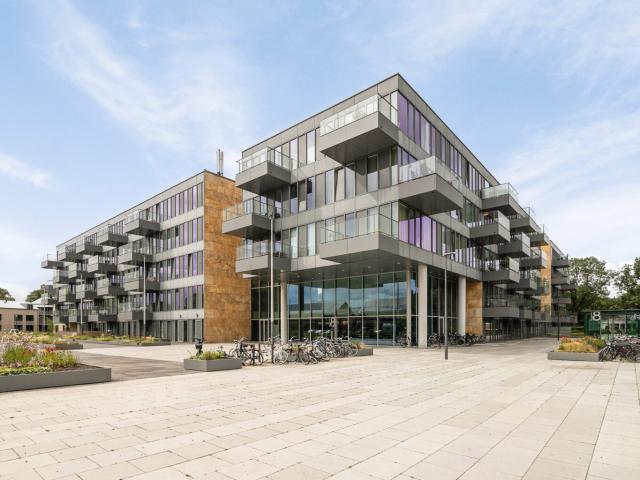 grenenhout 8 126 eindhoven