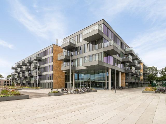 grenenhout 8 120 eindhoven
