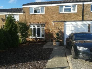 Crawley, West Sussex county, Sussex - Garden