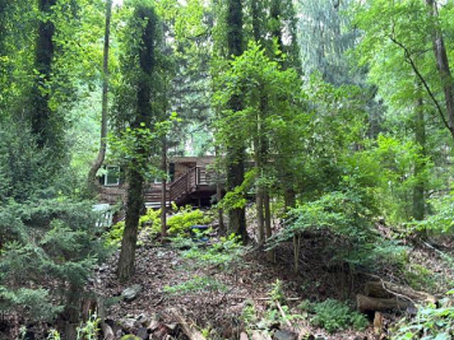 Grubbs Mill Rd