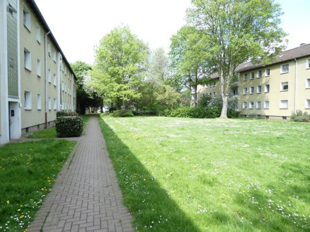 Grün und zentral – Ihre neue Wohnung mit 3 Zimmern bereits saniert!