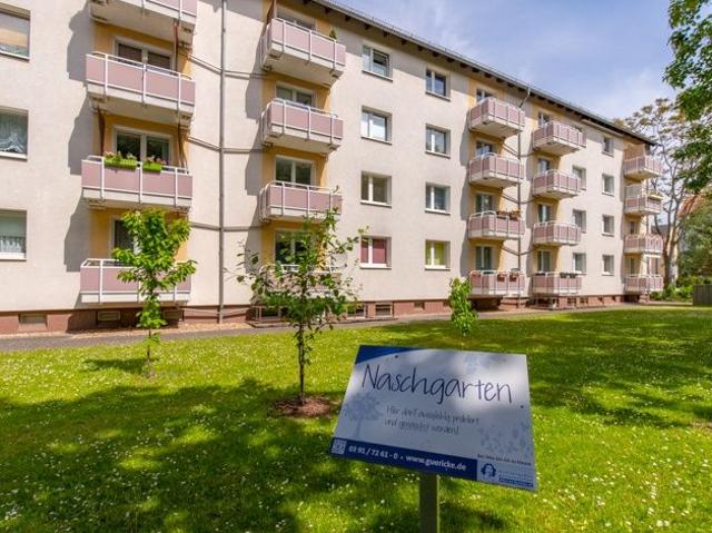Grün vor der Tür und die City nicht weit – frisch saniert zum 01.11.2026