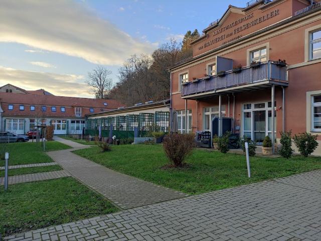 Grün wohnen am Stadtrand Dresden