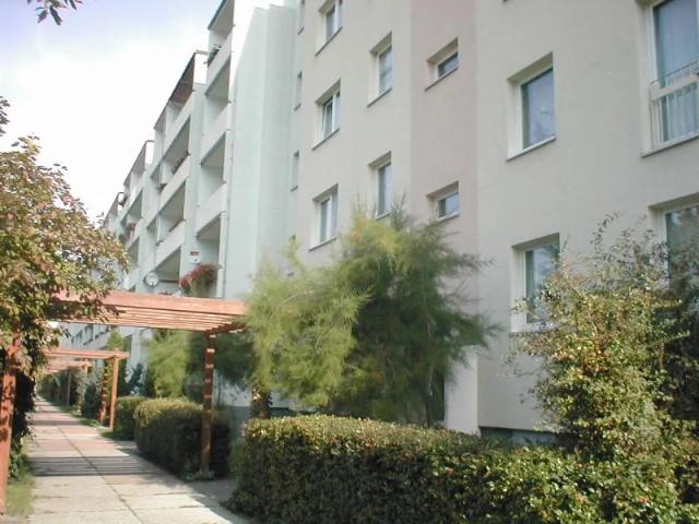 Grünau Ost: 2 Raumwohnung mit Balkon sucht dich!