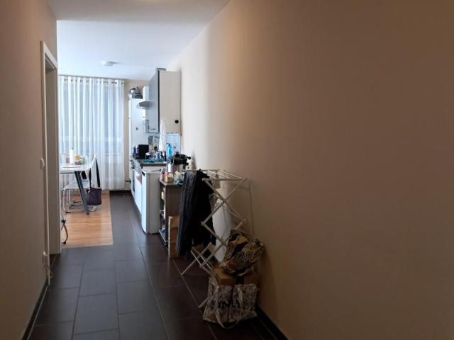 Grünauerstr.18: Schöne, gemütliche 2 Zimmerwohnung mit großem Balkon im 2.Liftstock, 53,25m2 WNFL, ablösefreie Küche, Gemeinschaftsgarten,Parkplatz optional!