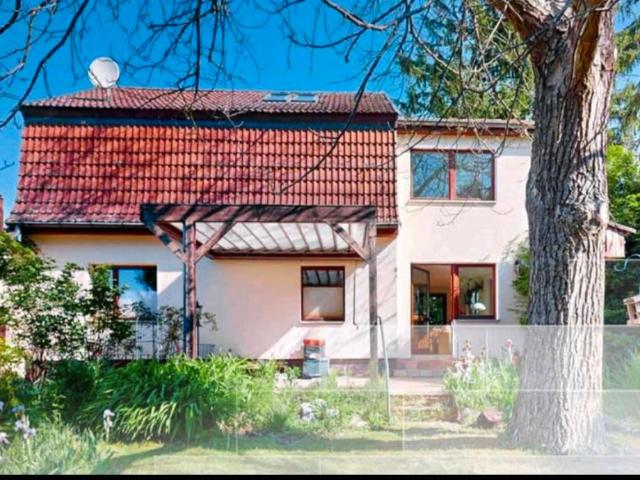 Grundstück mit Altbestand