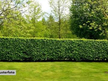 Villmar, Westerwald, Hessen, Rheinland-Pfalz