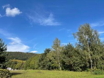 Zirkusstraße, Pirnaische Vorstadt, Altstadt, Dresden