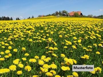 Reckenthal, Westerwald, Hessen, Rheinland-Pfalz