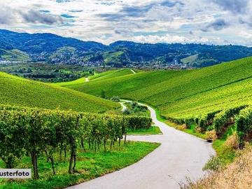 Hirtstein, Glashütte, Erzgebirge, Sachsen