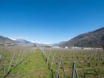 Saint-Pierre-de-Clages, Chamoson, Gundis, Wallis